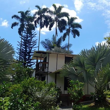 Cabanas En El Bosque Borrero Ayerbe Exterior photo