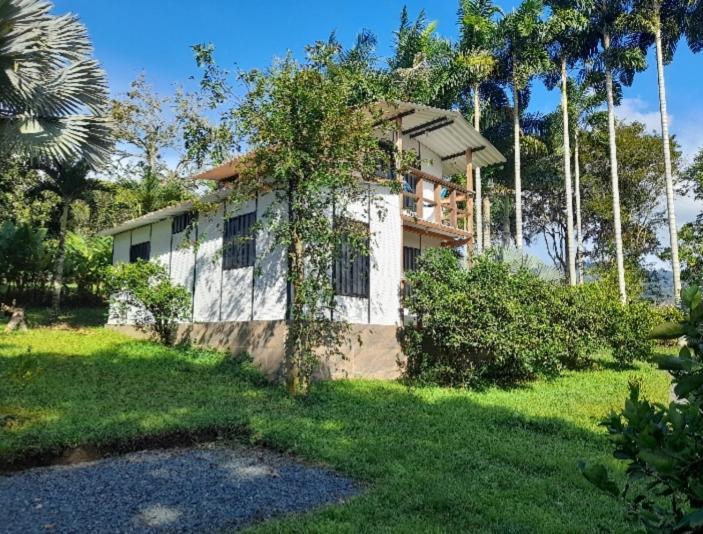 Cabanas En El Bosque Borrero Ayerbe Exterior photo