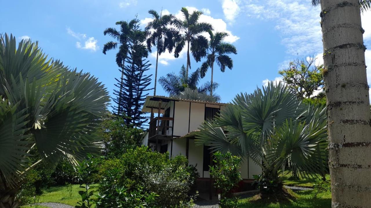 Cabanas En El Bosque Borrero Ayerbe Exterior photo