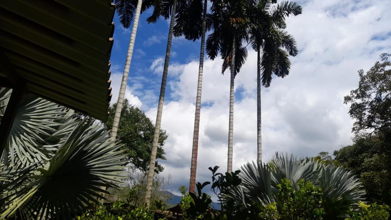 Cabanas En El Bosque Borrero Ayerbe Exterior photo