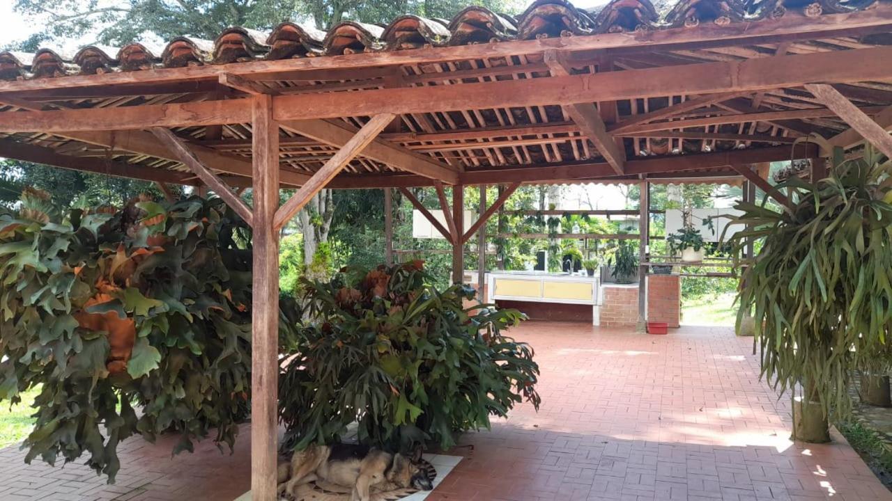 Cabanas En El Bosque Borrero Ayerbe Exterior photo