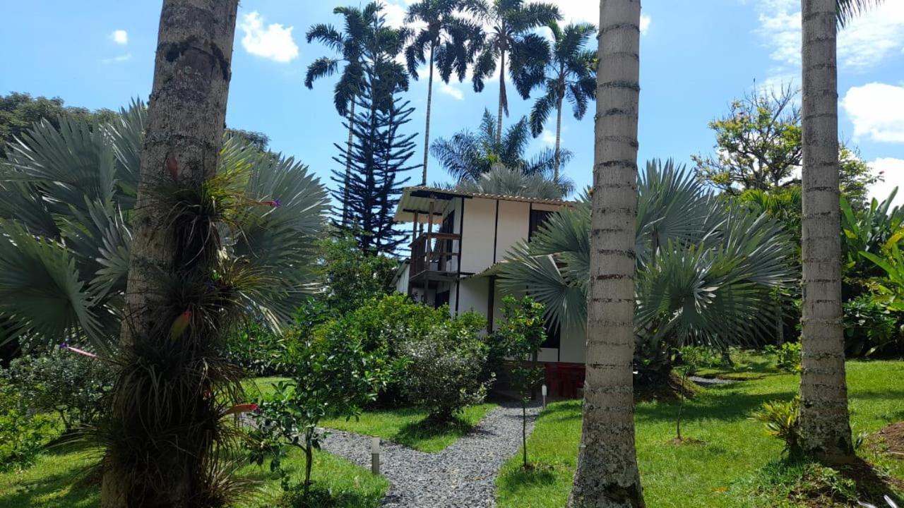 Cabanas En El Bosque Borrero Ayerbe Exterior photo